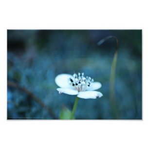 Summer Memories Photo Print