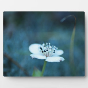 Summer Memories Plaque