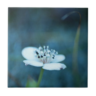 Summer Memories Tile