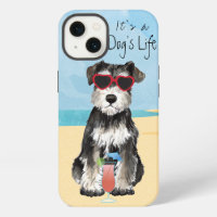 Summer Miniature Schnauzer