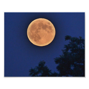 Summer Moon Photo Print