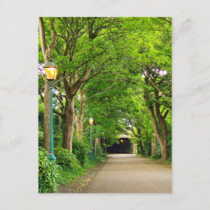 Summer Morning Postcard