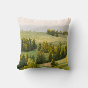 summer mountains green grass and blue sky landscap cushion