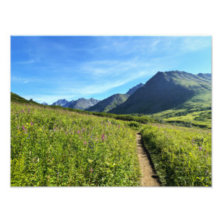 Summer Mountains Photo Print