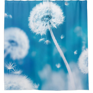 Summer natural floral background. White dandelions Shower Curtain