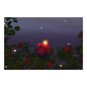 Summer Nightlights Photo Print