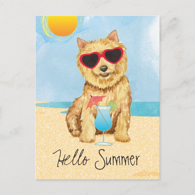 Summer Norwich Terrier Postcard (Front)
