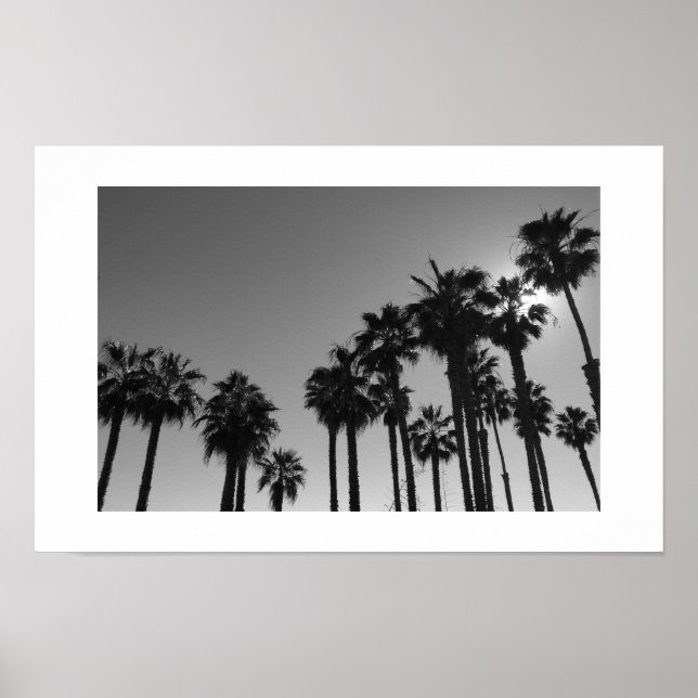 Summer Ocean Palms Black and White Photography Poster (Front)
