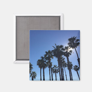 Summer Ocean Palms Blue Colour Photography Magnet
