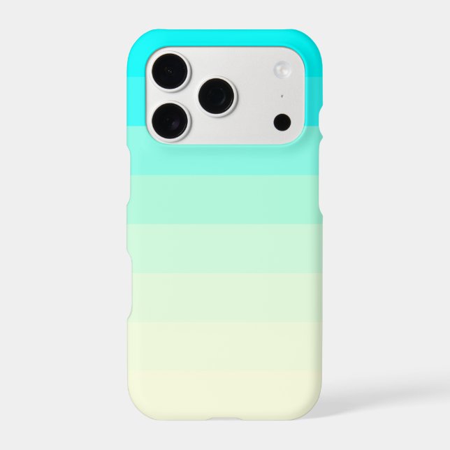 Summer Ombre Design  (Back)