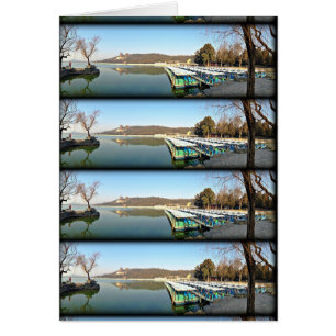 Summer Palace Boats