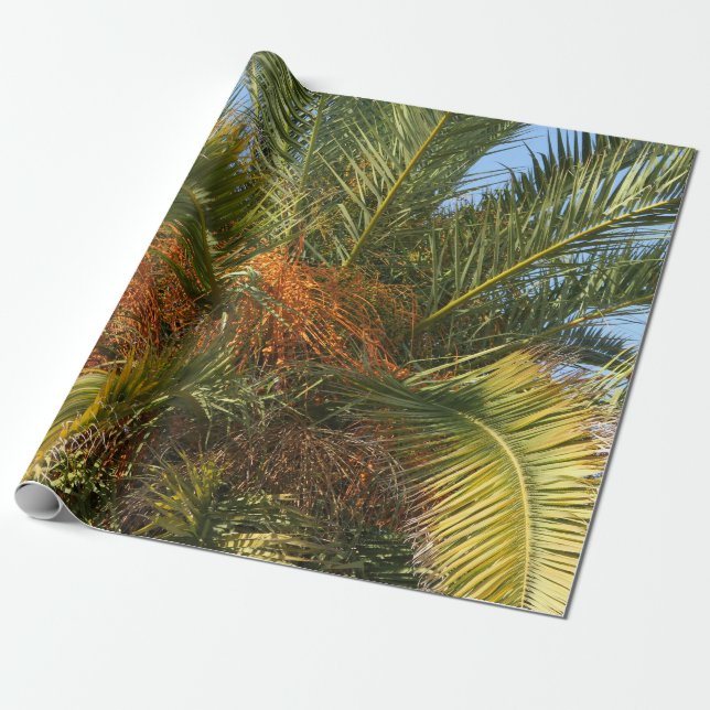 summer, palm, leaf, tropical, tree, nature, plant, wrapping paper (Unrolled)
