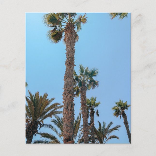 Summer Palm trees Flyer (Front)