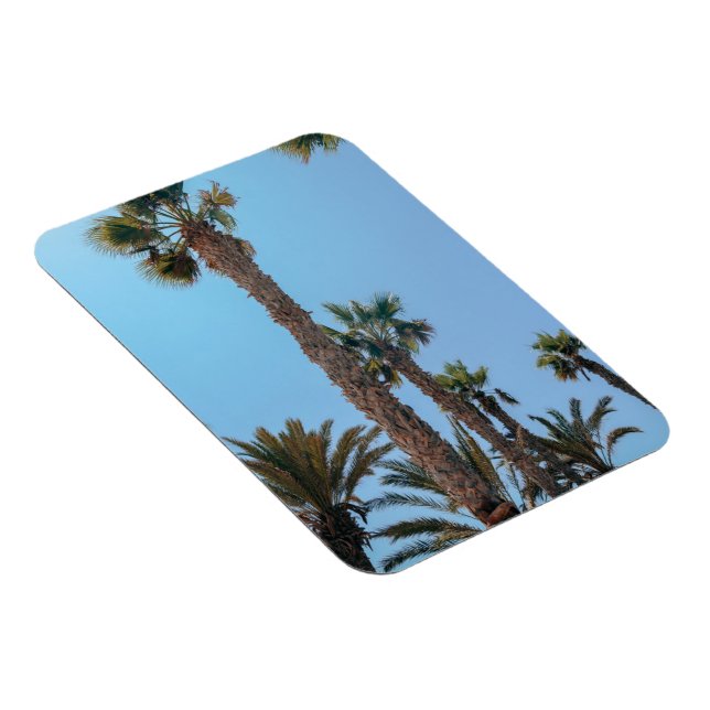 Summer Palm trees Magnet (Right Side)