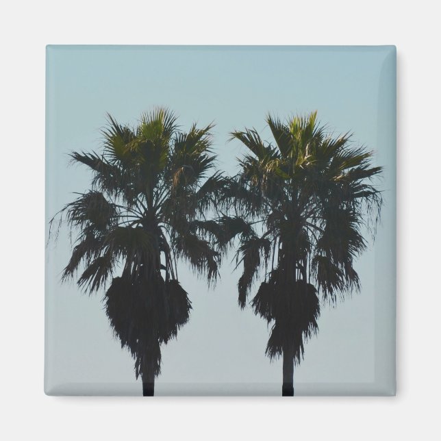 Summer Palm Trees Magnets (Front)