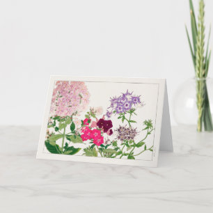 Summer phlox by Tanigami Konan Card