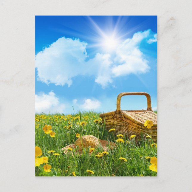 Summer Picnic Postcard (Front)