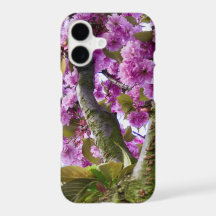 Summer Pink Blooming Tree Crown Photo -