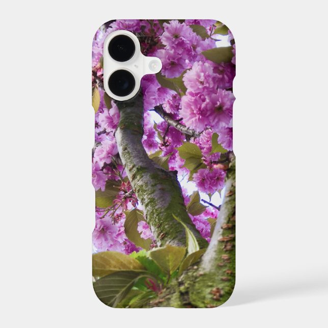 Summer Pink Blooming Tree Crown Photo - (Back)