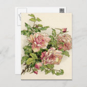 Summer Pinkish Rose Postcard (Front/Back)