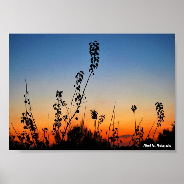 Summer Plant Silhouettes Poster (Front)