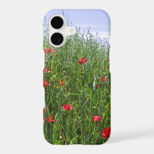 Summer Poppies