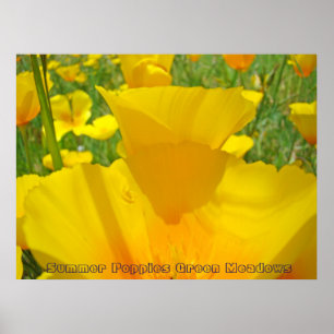 Summer Poppies Green Meadow art prints Wall art