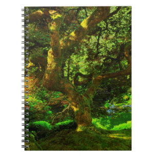 Summer, Portland Japanese Garden, Portland Notebook