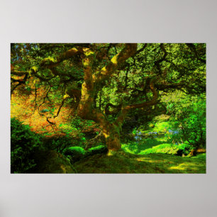 Summer, Portland Japanese Garden, Portland Poster