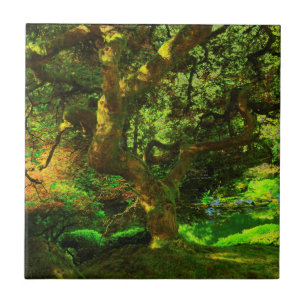 Summer, Portland Japanese Garden, Portland Tile