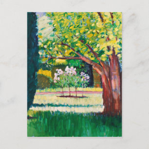 Summer Postcard