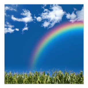 Summer Rainbow Wall Print
