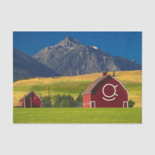 Summer Red Mountain Barns  Tissue Paper