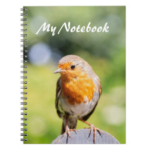 Summer Robin Notebook