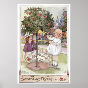 Summer Roses by Anne Anderson Poster