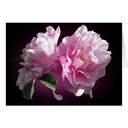 Summer Roses Engagement Card