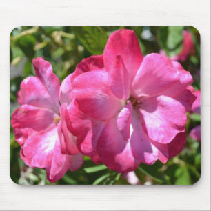 Summer Roses Mouse Mat