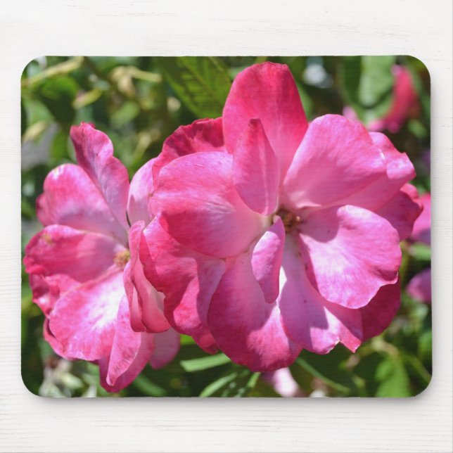 Summer Roses Mouse Mat (Front)