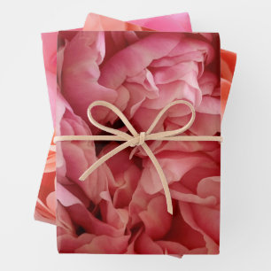 Summer roses wrapping paper sheet