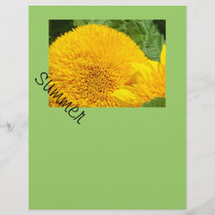 Summer Scrapbook paper Sunflower Scrapbooking