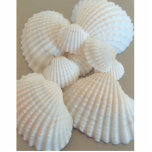 Summer Seashells Exotic Tropical Beach Sculpture Photo Sculpture Magnet<br><div class="desc">Summer Seashells Exotic Tropical Beach Photo Sculpture</div>