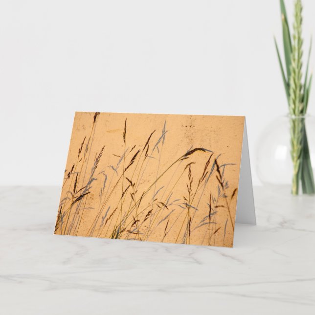 Summer shadows card (Front)