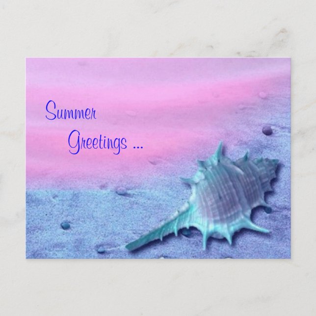 Summer Shell Postcard (Front)