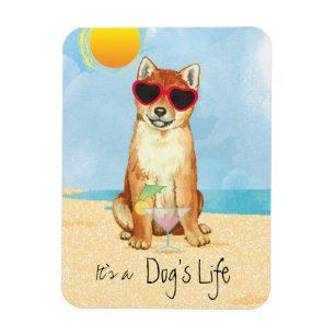 Summer Shiba Inu Magnet