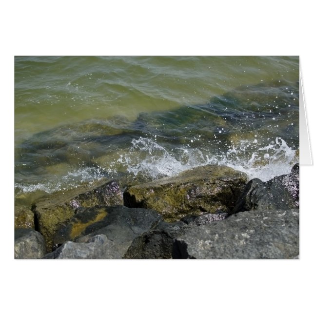 Summer Shoreline (Front Horizontal)