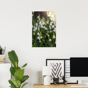 Summer Snowflake white flowers Poster