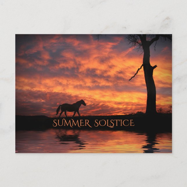 Summer Solstice Litha Horse and Sunrise Postcard (Front)