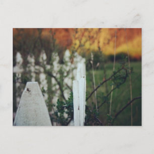 Summer solstice postcard