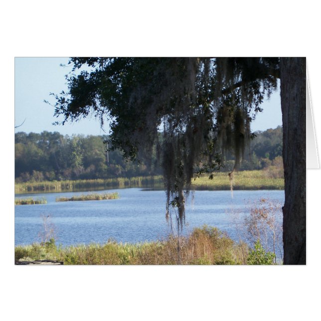 Summer southern lake reflections (Front Horizontal)