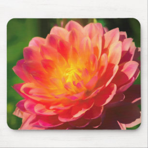 Summer Spectacle Mouse Mat